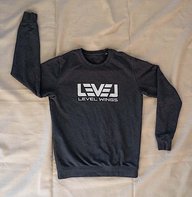 Толстовка Level Wings